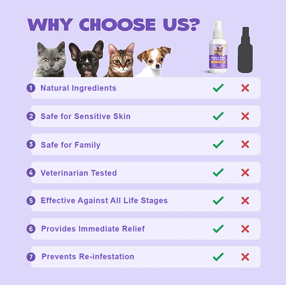 💥 2025 Limited Offer 70% ️⏳ PetCare™ Flea & Tick Kolirin Spray