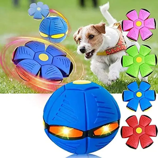UNPREE™ Flying Saucer Pet Toy