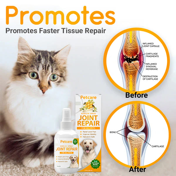 PetCare™ Kolirin Bee Venom Joint Repair Spray 🔥 70% Limited Discounts