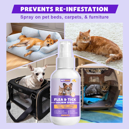 💥 2025 Limited Offer 70% ️⏳ PetCare™ Flea & Tick Kolirin Spray